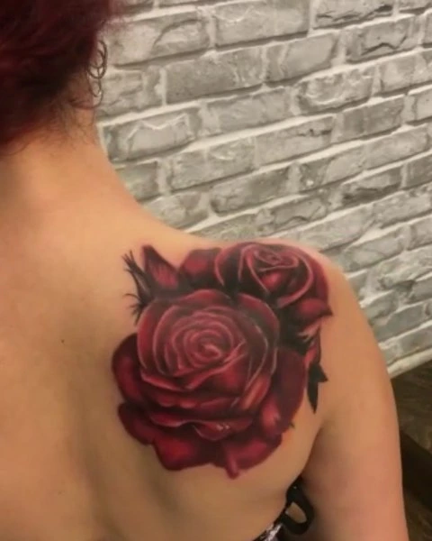 Two layered red roses