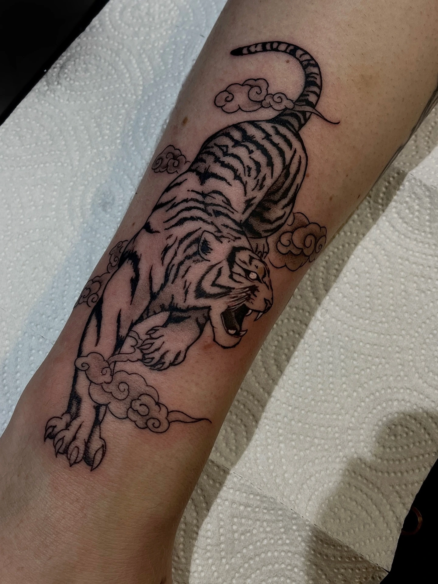 Stencil of Japanese tiger among clouds