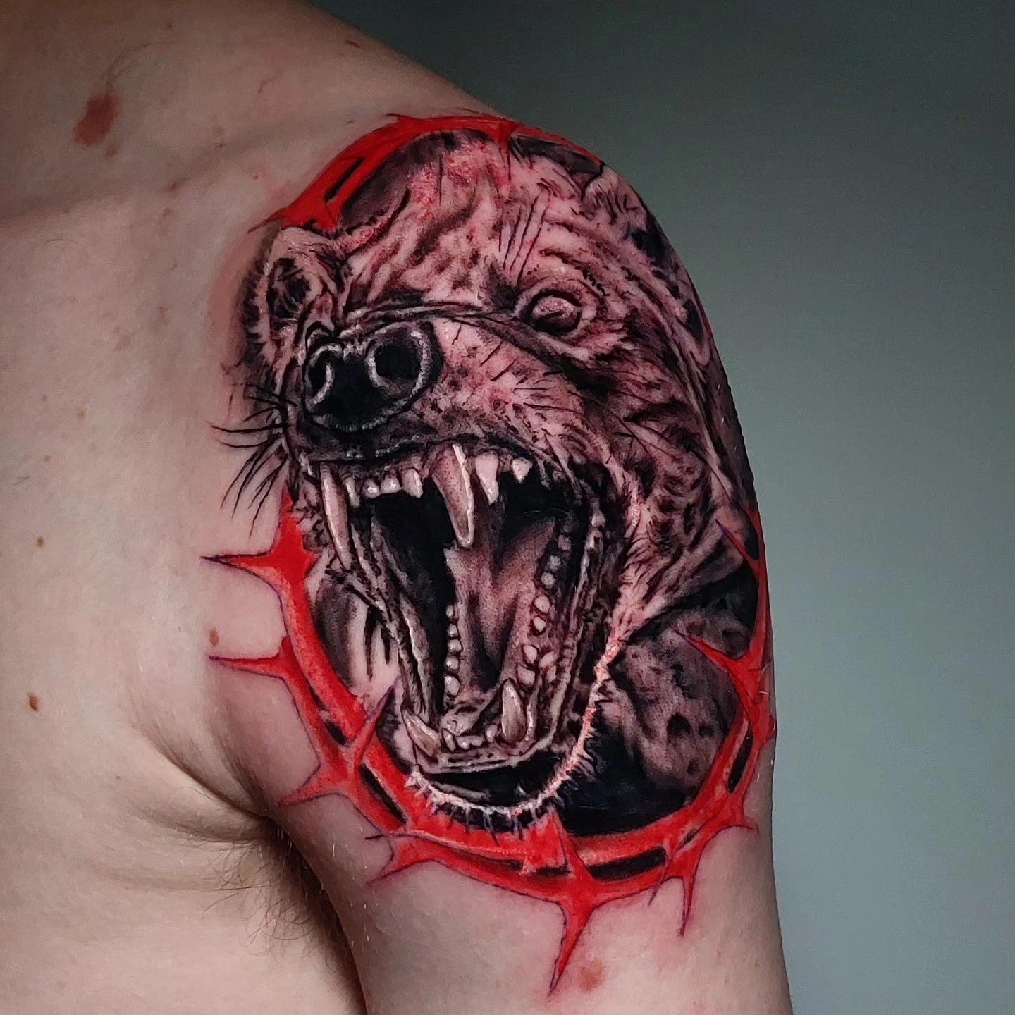 Snarling hyena/wild dog inside red thorned frame