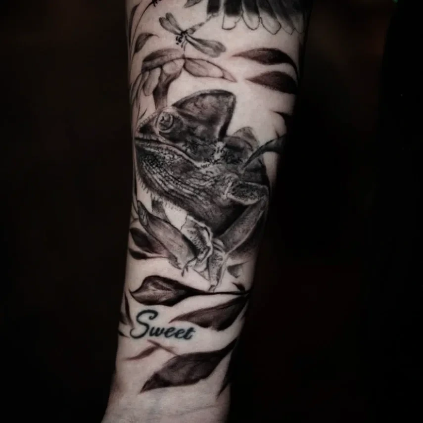 Photoreal chameleon with dragonfly + 'Sweet' delicate script + leaves
