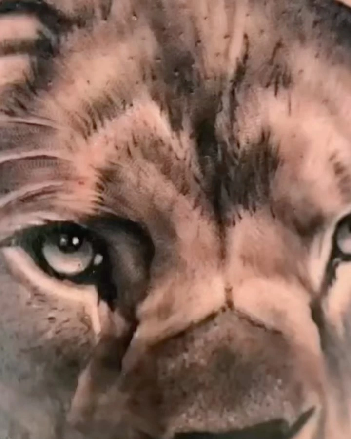 hyperreal lion eye/face close-up