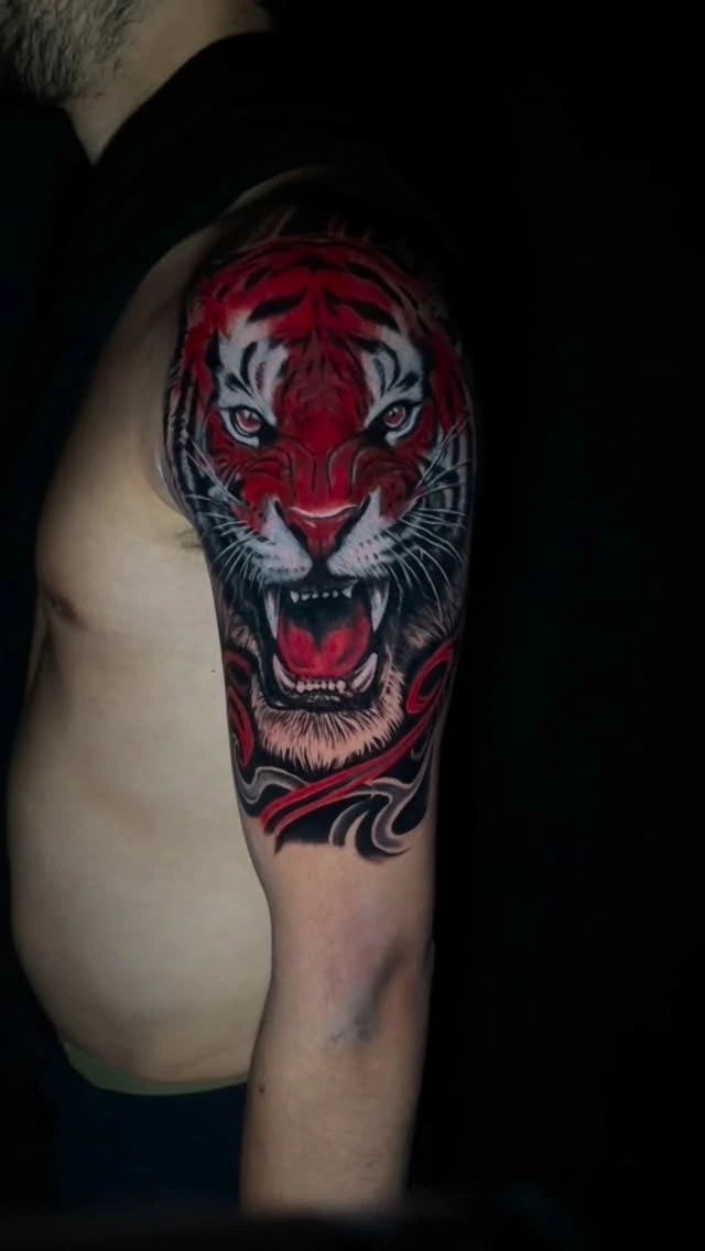 red-and-black tiger face, cover-up of grey tiger, shoulder