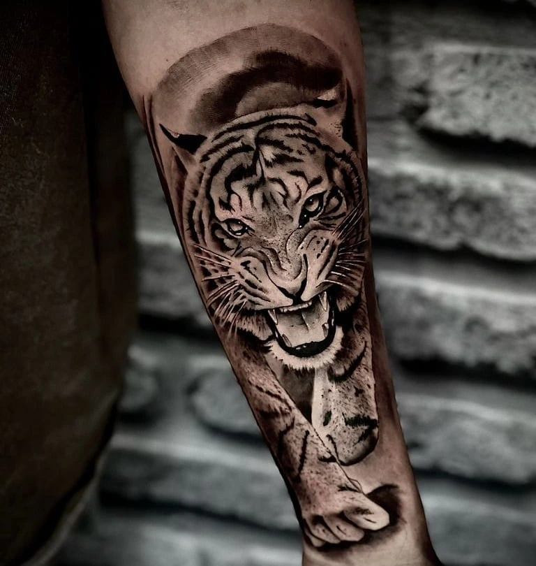 roaring tiger walking forward (Wild)