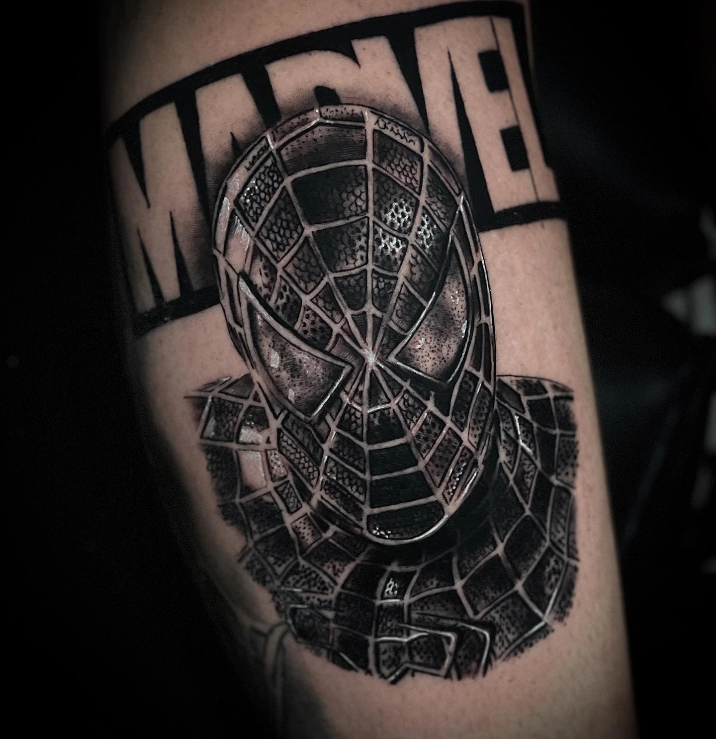 Spider-Man Marvel portrait with logo