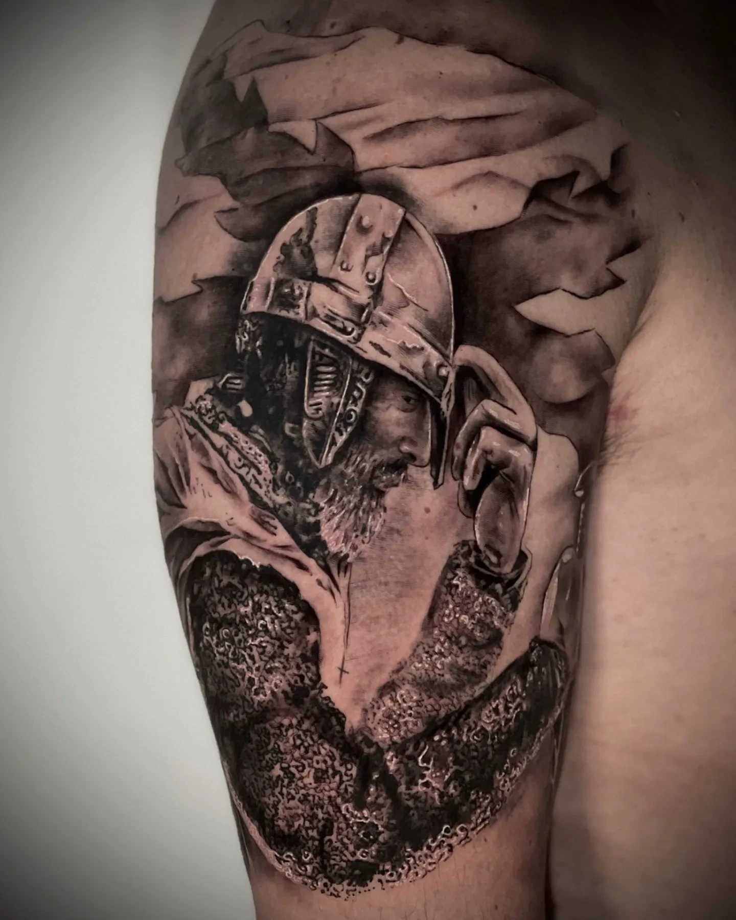 viking helmeted warrior with chainmail emerging from torn skin/cloth