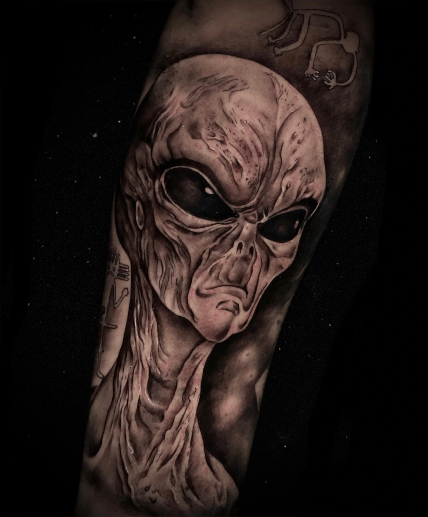 alien (grey alien) head with Nazca line glyphs in background